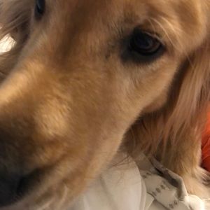 Meet your Posher, Matt